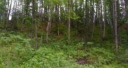 18435 W Jenny Lane Big Lake, AK 99652 - Image 16130785