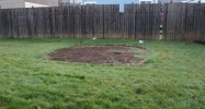 906 S 11th Ave Kelso, WA 98626 - Image 16152576