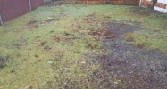 321 F Street SE Auburn, WA 98002 - Image 16152753