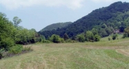 812 REAGAN SPRINGS RD Seymour, TN 37865 - Image 16169569