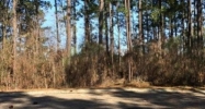 Lot D-3 Gleneagles Hattiesburg, MS 39401 - Image 16170792