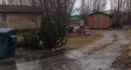 13805 E Rose Garden Palmer, AK 99645 - Image 16179872