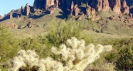1641 N 103RD Street Mesa, AZ 85207 - Image 16180390