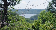 9.04 AC SILVER VIEW LANE Silver Point, TN 38582 - Image 16183880