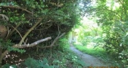 940 E Washington Ln Philadelphia, PA 19138 - Image 16220141
