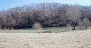 Lot 9 Belle Arden Greeneville, TN 37745 - Image 16235649