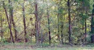 LOT 6 FANCHER ROAD Newport, TN 37821 - Image 16236726