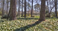857 Fairfield Road Atlanta, GA 30327 - Image 16239880