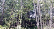 3414X 38th AVe NW Gig Harbor, WA 98335 - Image 16261054