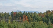 1337 Old Stage Road Williston, VT 05495 - Image 16265279