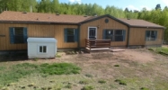 430 Friar Tuck Dr Divide, CO 80814 - Image 16265306