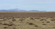 '27 Bold Venture Road' Medicine Bow, WY 82329 - Image 16266387