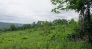 0 Duck pond rd Barton, VT 05822 - Image 16266410