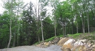 Echo View Drive, Lot #1 Plymouth, VT 05056 - Image 16266652