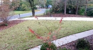 4640 Glenforest Drive Ne Roswell, GA 30075 - Image 16267660