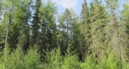 3349 W Coghlan Circle Wasilla, AK 99654 - Image 16269813