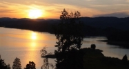Lot 69 Coves Edge Trail Russellville, TN 37860 - Image 16272639