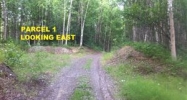 Pcl 1 Blue Goose Road Wasilla, AK 99654 - Image 16274125