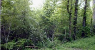 0 Henson Gap Soddy Daisy, TN 37379 - Image 16275066