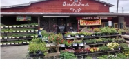 2617 HWY 77 Lynn Haven, FL 32444 - Image 16276638