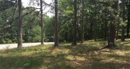 1596 Price Road Dawsonville, GA 30534 - Image 16278743