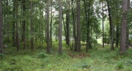 1190 Paloma Drive Greensboro, GA 30642 - Image 16278801