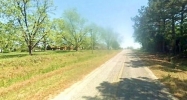 County Road 44, Headland Al 36 Headland, AL 36345 - Image 16285124