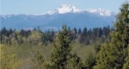 6907 NW Lois Drive Silverdale, WA 98383 - Image 16288403