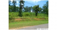 SUN VALLEY LN 5 PARCLS Talladega, AL 35160 - Image 16296620