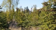 L3 Carefree Circle Homer, AK 99603 - Image 16297695