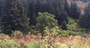 L6 E Diamond Ridge Road Homer, AK 99603 - Image 16297693