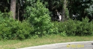 12 Cotesworth Pl Savannah, GA 31411 - Image 16300963