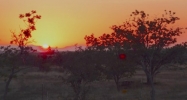 307 Vaughn Loop Road Elgin, AZ 85611 - Image 16303581