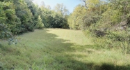 0 Brittontown Road Afton, TN 37616 - Image 16305167