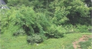 1149 Cumberland Road Atlanta, GA 30306 - Image 16306808