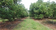 22400 207 AV Miami, FL 33170 - Image 16309299