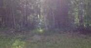 L2 Scenic Drive Chugiak, AK 99567 - Image 16311435