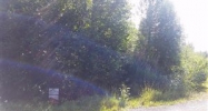 na T15NR1W SEC5 LT59 Chugiak, AK 99567 - Image 16311433