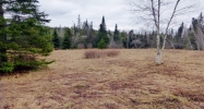 00 Buzzell road North Troy, VT 05859 - Image 16325794