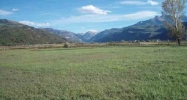 437 Palomino Trail Ridgway, CO 81432 - Image 16328244