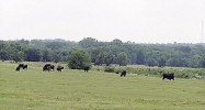1834 Hwy 24 Paris, TX 75460 - Image 16332885