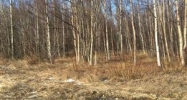 2424 S Lakewood Drive Wasilla, AK 99654 - Image 16334855