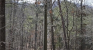30 Sun Mountain Spur Chatsworth, GA 30705 - Image 16347893