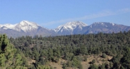 TBD CR 211 Hesperus, CO 81326 - Image 16359018