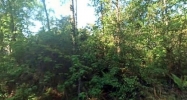 Easterly Ct, Woodbine Ga 31569 Woodbine, GA 31569 - Image 16361622