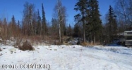13301 E Soapstone Road Palmer, AK 99645 - Image 16380103