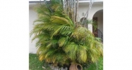 3515 NW 13 ST Miami, FL 33125 - Image 16386305