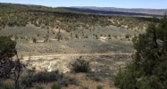 Tbd Rbcr 71 Meeker, CO 81641 - Image 16391874