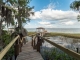 35211 Harbor Shores Rd Leesburg, FL 34788 - Image 16403372