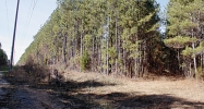 0 Guy Flemming Road Lena, MS 39094 - Image 16407778